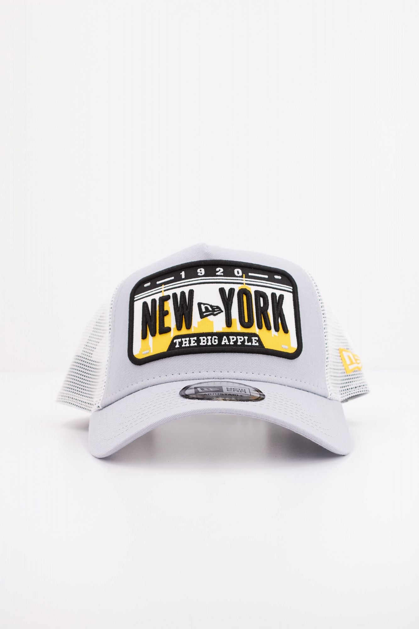 NEW ERA NEW ERA DGR en color GRIS (1)