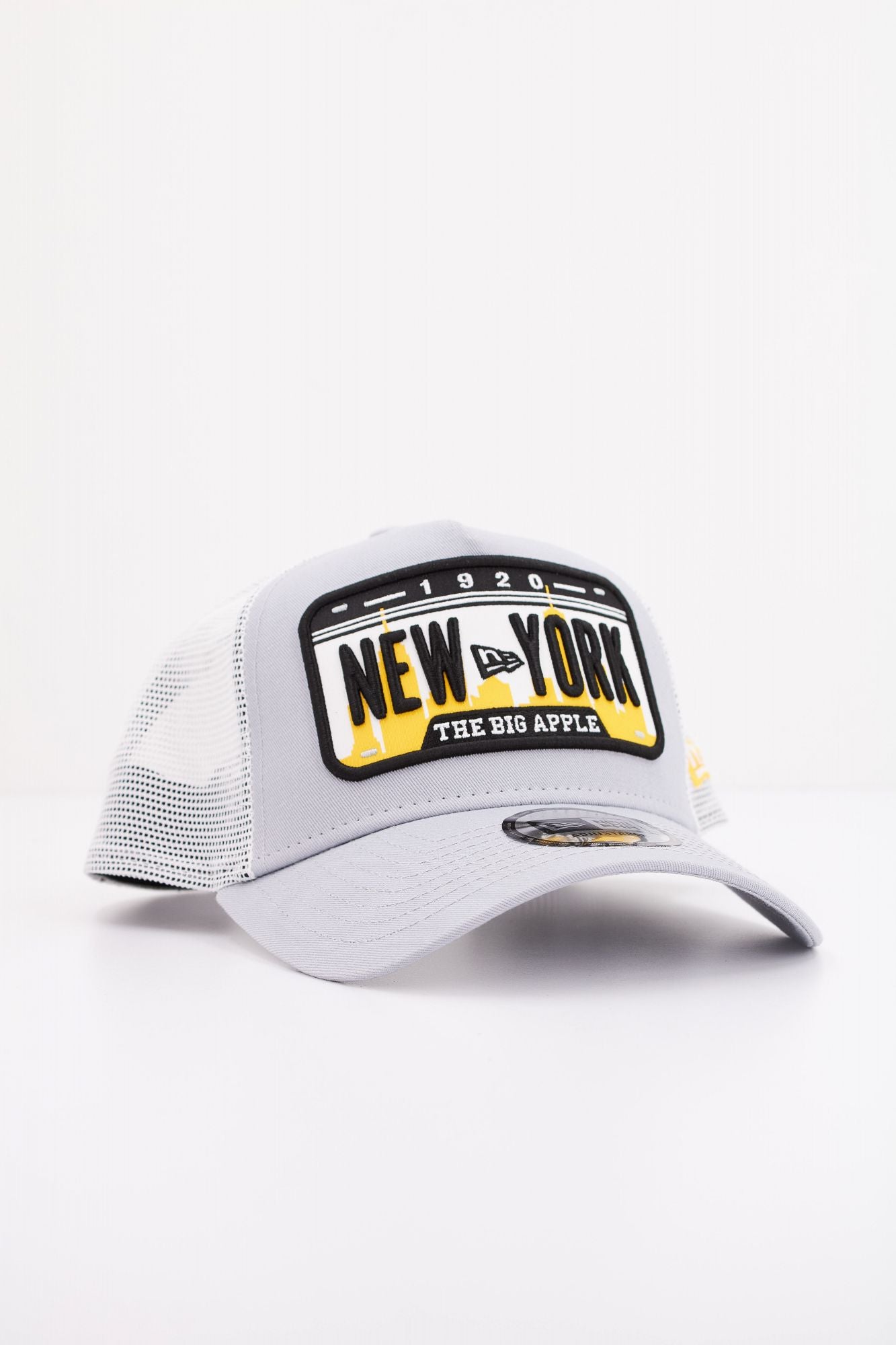 NEW ERA NEW ERA DGR en color GRIS (2)