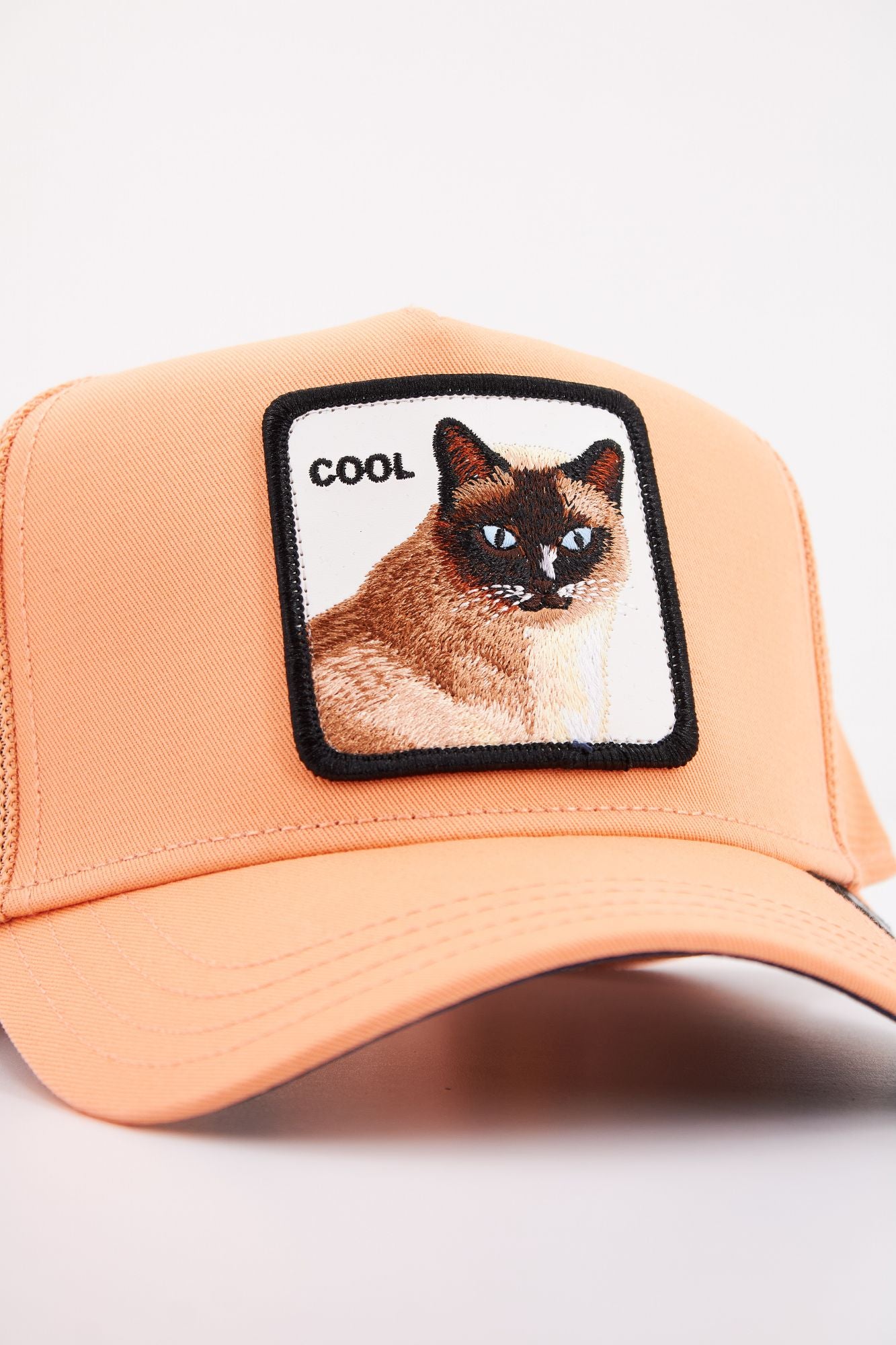 GOORIN BROS COOL CAT en color NARANJA (4)