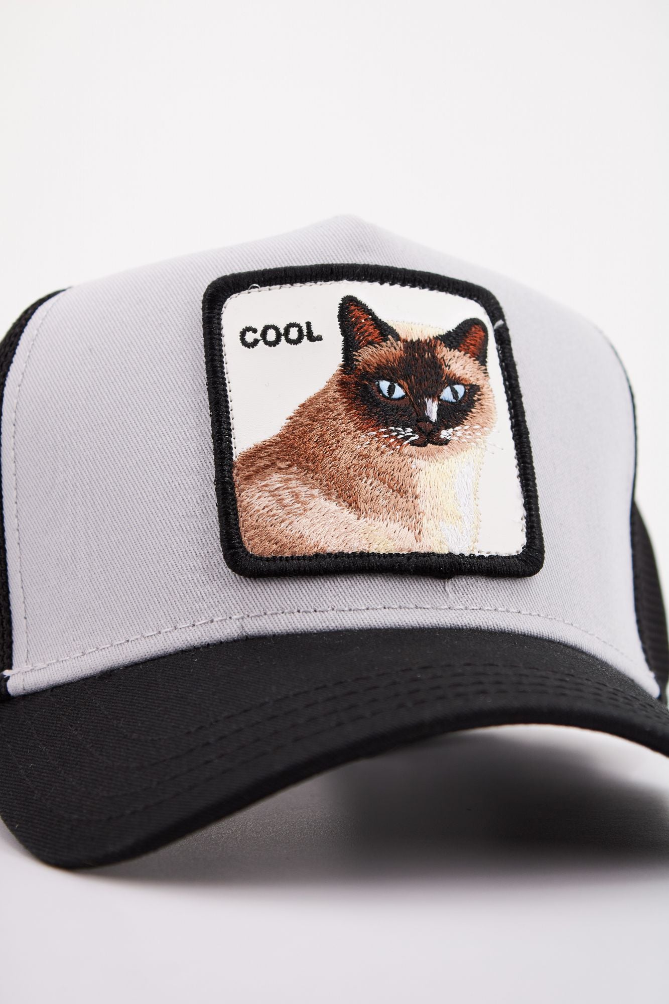 GOORIN BROS COOL CAT en color NEGRO (4)