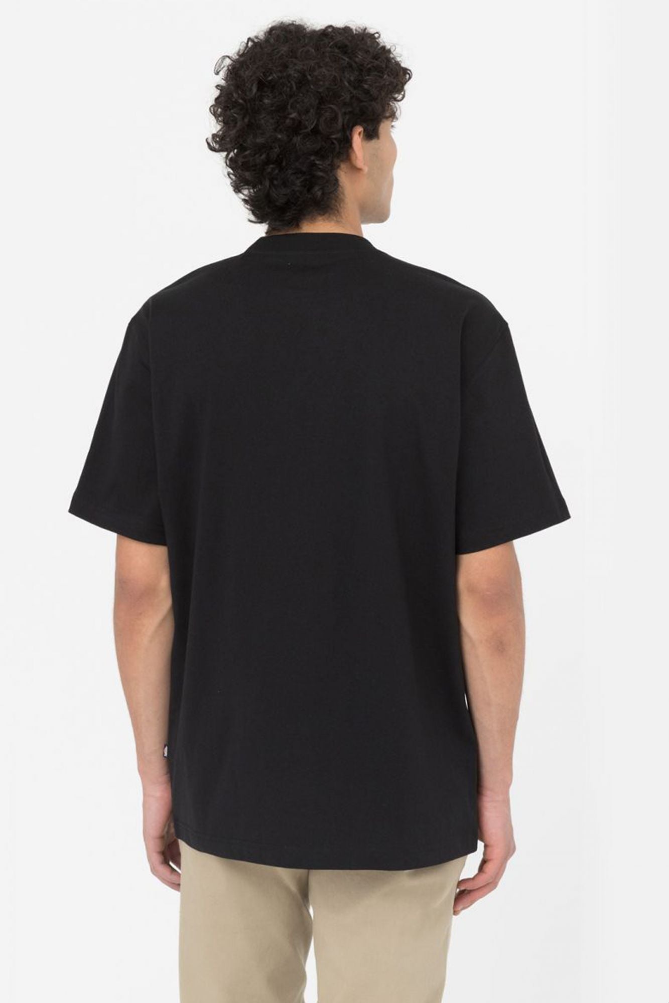 DICKIES SUMMERDALE TEE SS W en color NEGRO (3)