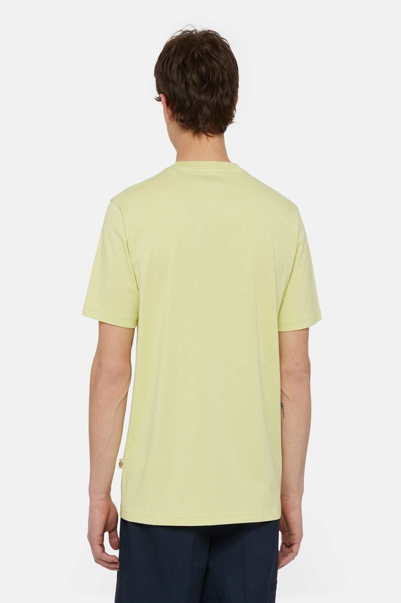 DICKIES SS MAPLETON TEE en color VERDE (3)