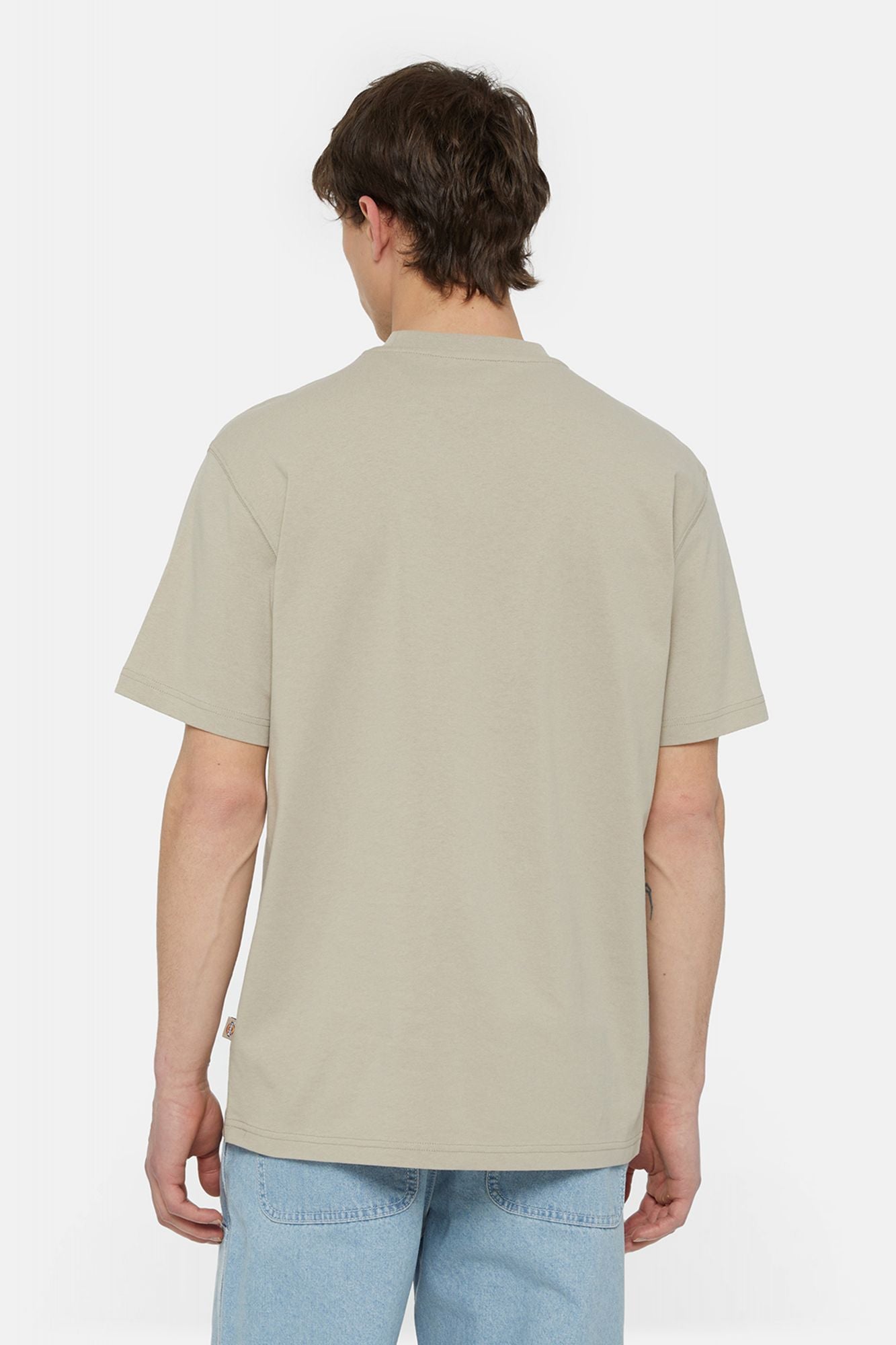 DICKIES SUMMERDALE SS TEE en color MARRON (3)