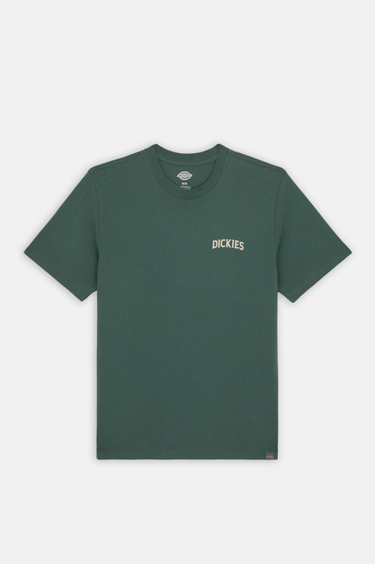 DICKIES ELLISTON TEE SS en color VERDE (2)