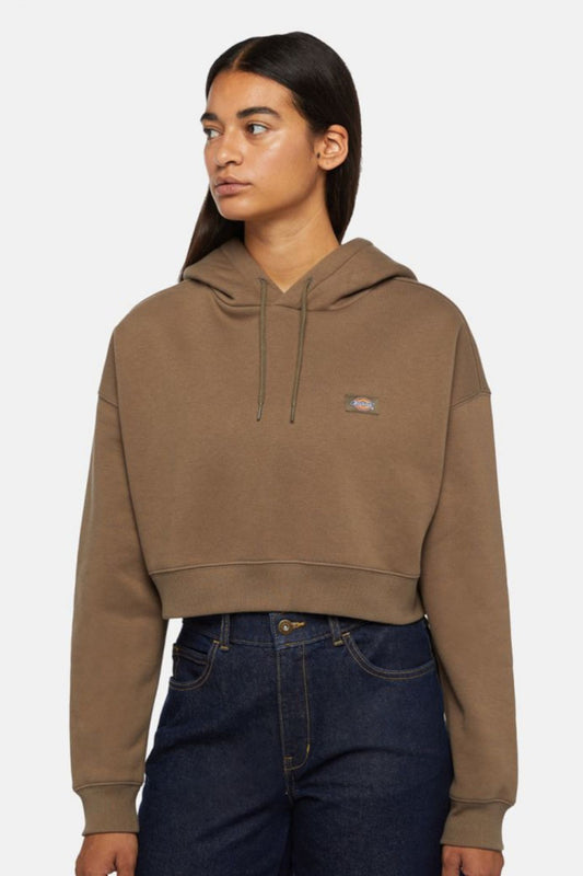 DICKIES OAKPORT CROPPED HOODIE en color MARRON (1)